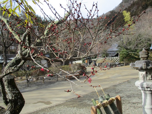 ume5300212