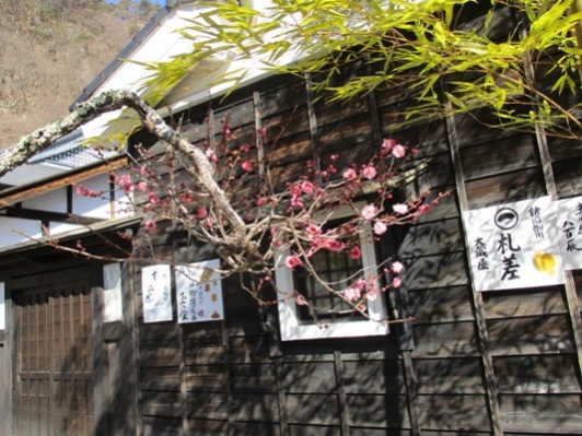 ume5300305