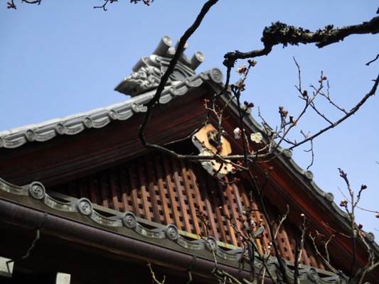 ume6310211