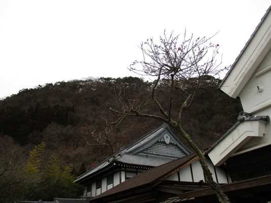 ume7020127