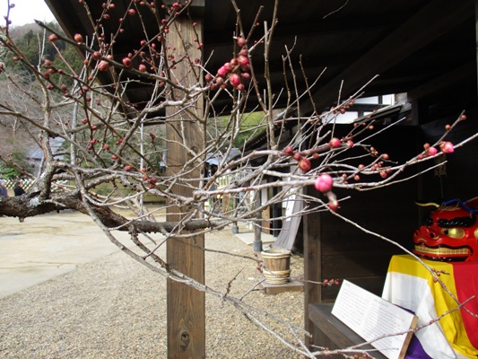 ume7310111