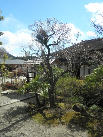 umecha270323