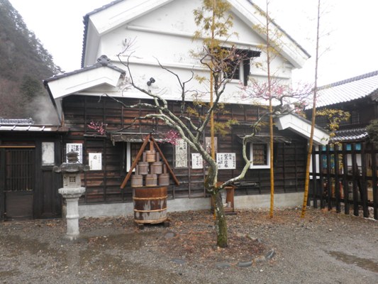 umeen270301