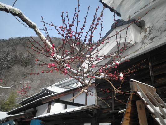umekin270214