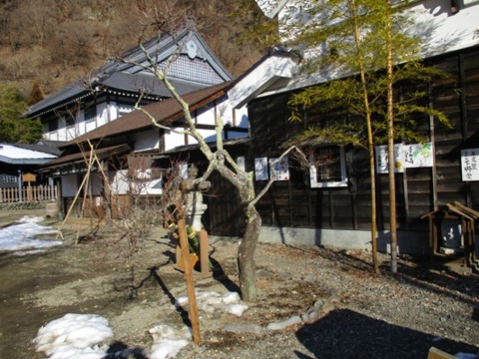 umeko2300205
