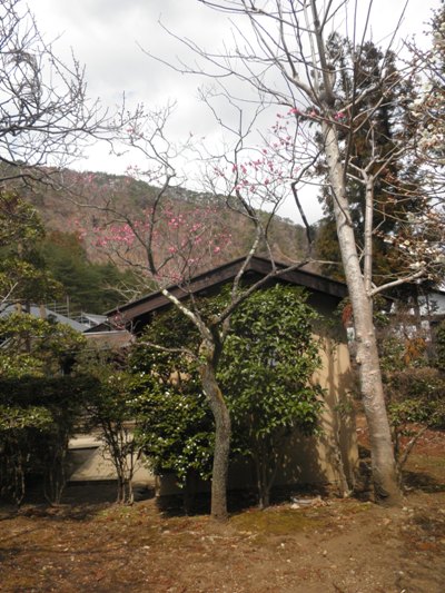 usirohida270323