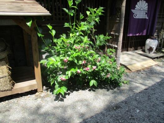 utu2290606