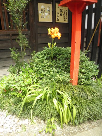 yabu2280704