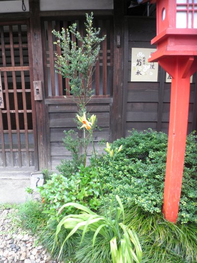 yabu2280705