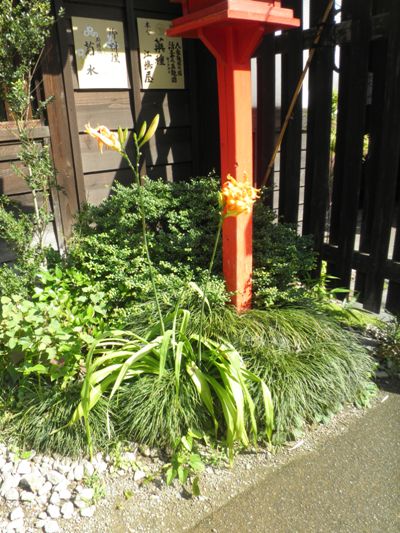 yabu2280710