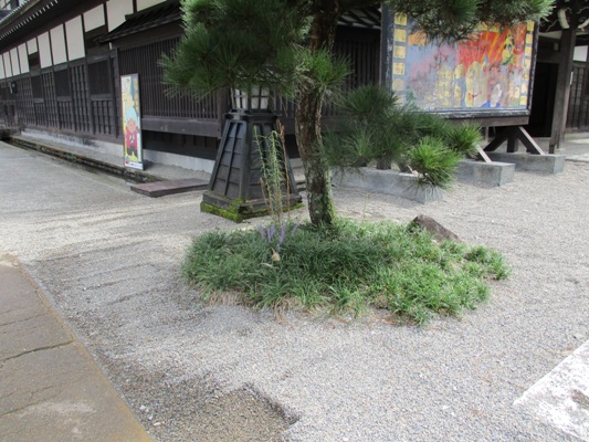 yabu2290914