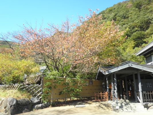 yae1271028