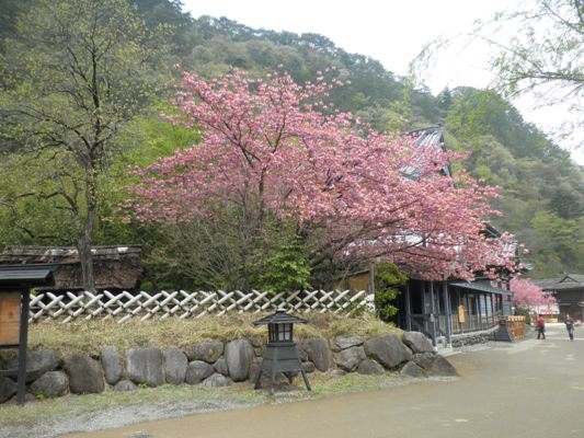 yae1280424