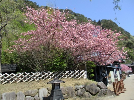 yae1290429