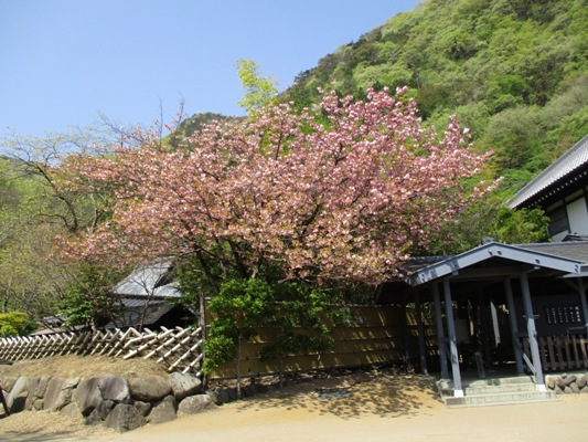 yae1300421