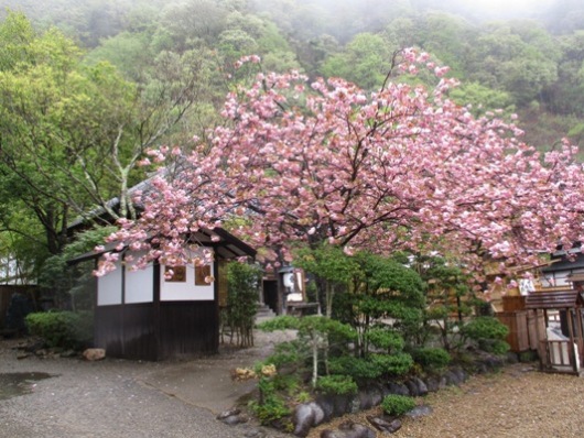 yae2010503