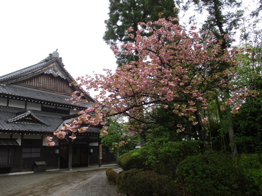 yae2010505