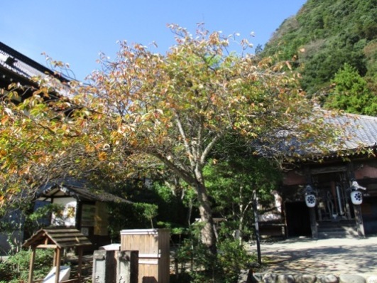 yae2011025