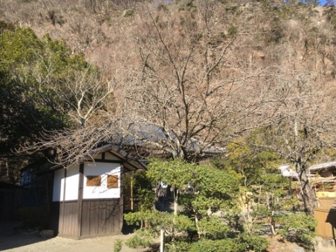 yae2020118
