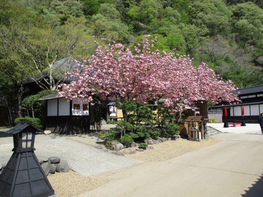 yae2300421
