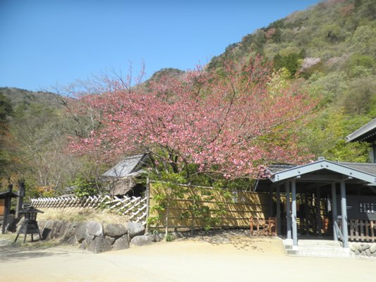 yae280419