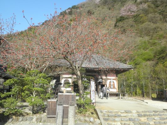 yae2en270418