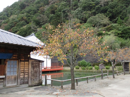yae3011102