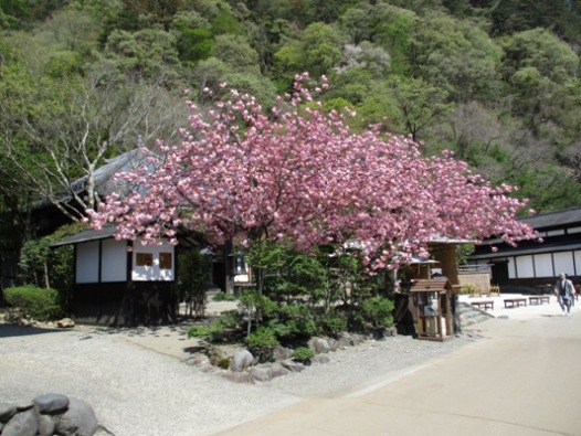 yae3290429