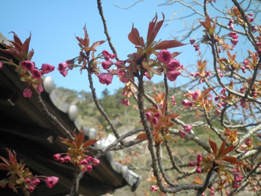 yae3kin270418