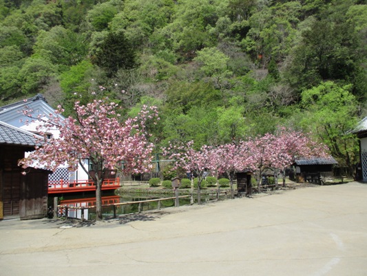 yae6300421