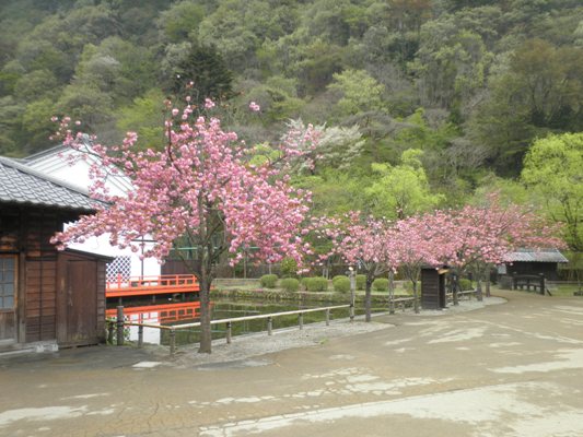 yaeza11280424
