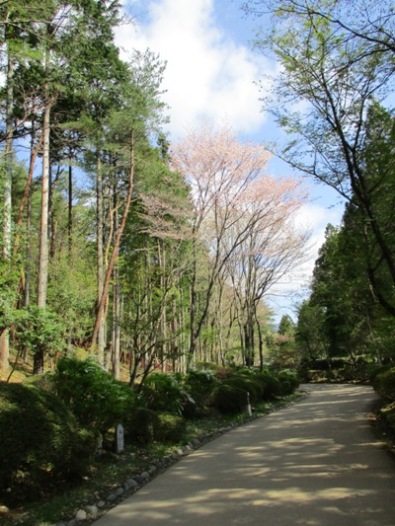 yama1290429