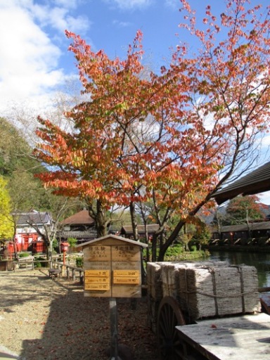 yama2301101