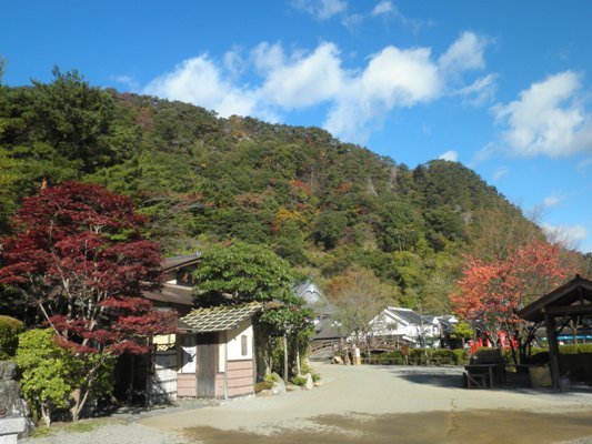 yama261104