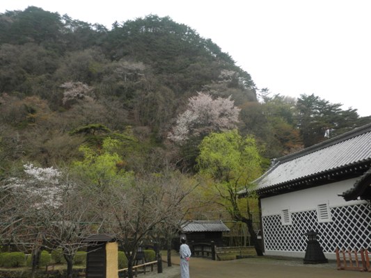 yama270415