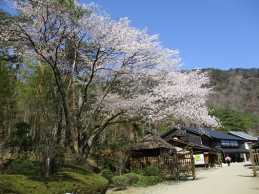 yamaza2290418