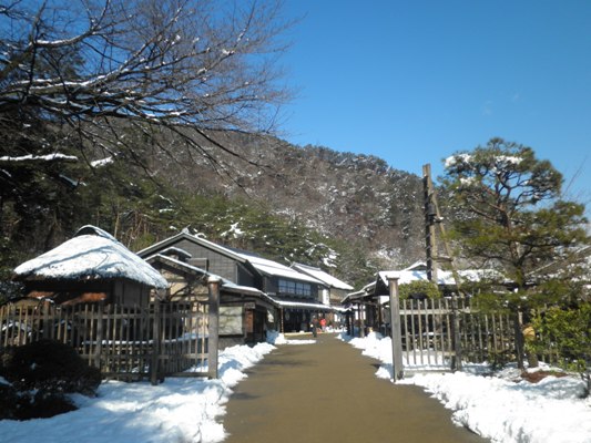 yuki1280131
