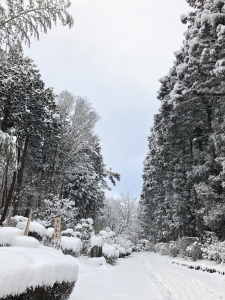 yuki1300124