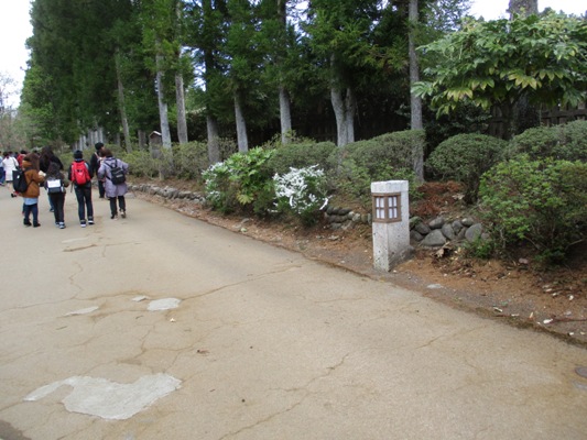yuki1300410