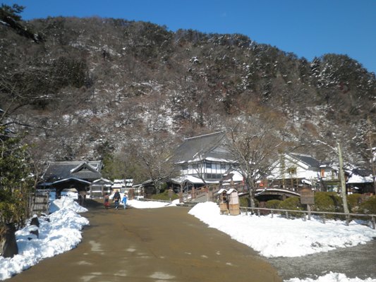 yuki2280131