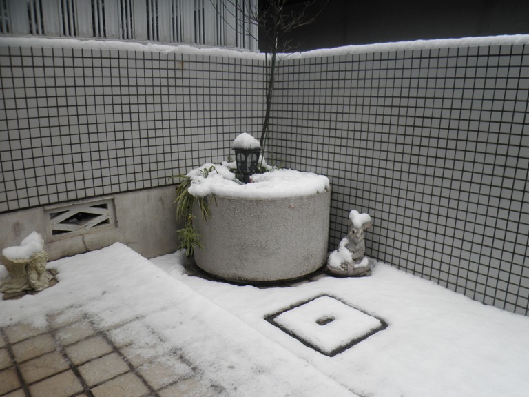 yuki230215