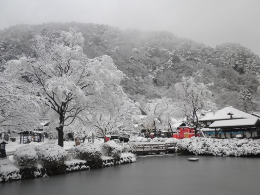 yuki280130