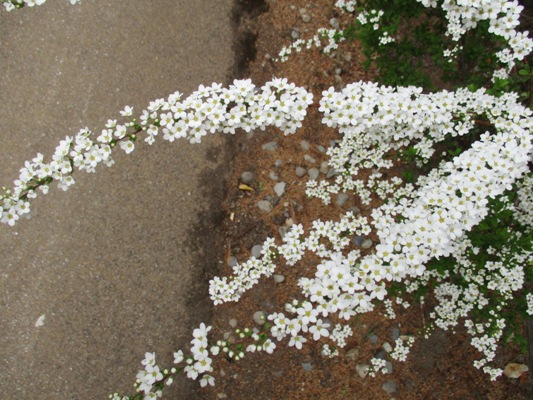yuki3290417