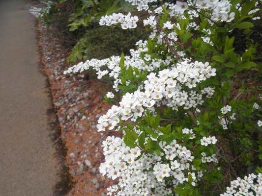 yuki4280416