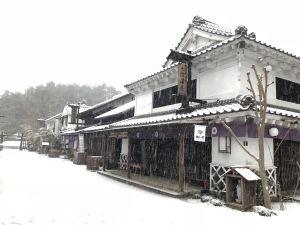 yuki6300123