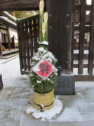 yukji2300218