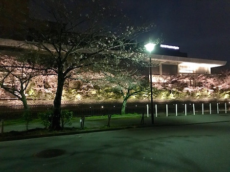 bkhsa