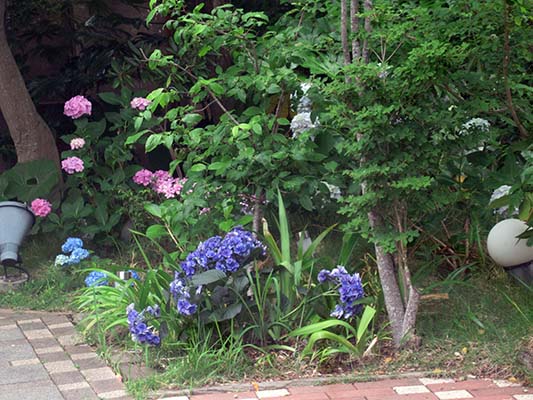 20180610f