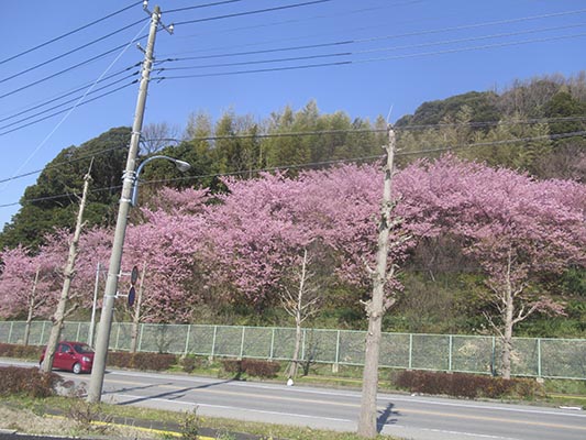 20190310aa