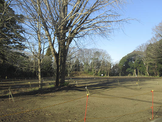 20190310ae